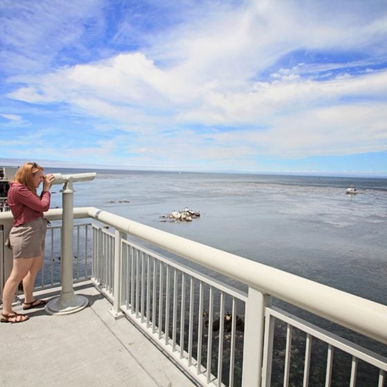 monterey bay aquarium travel tips