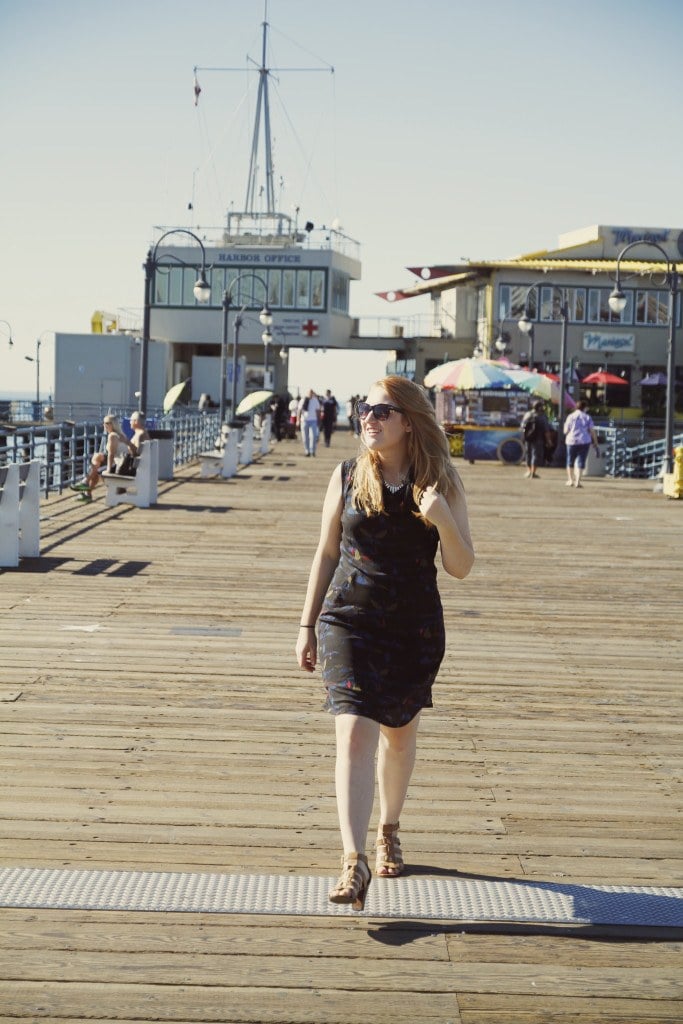 Santa Monica Pier with Skunkfunk