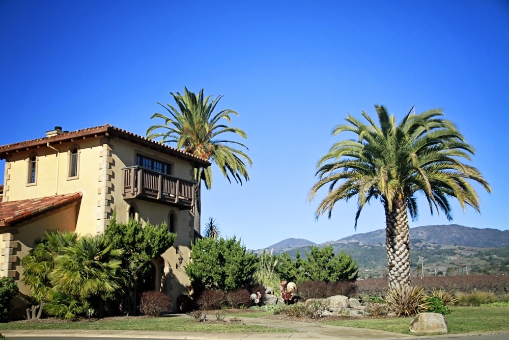 4 Wineries To Visit in Sonoma
