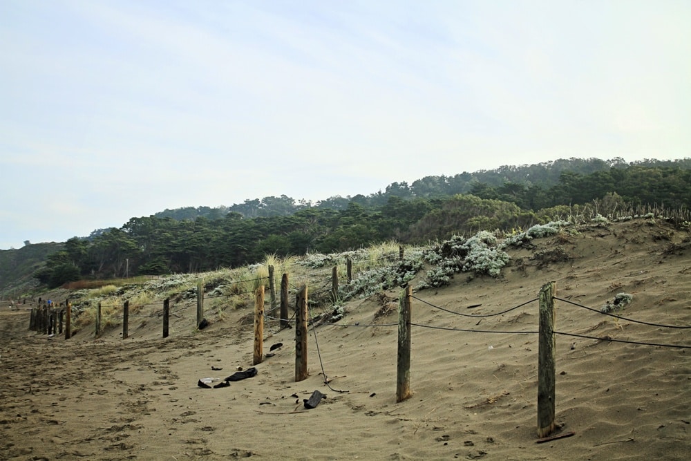 Best beach in San Franciso - Whimsy Soul