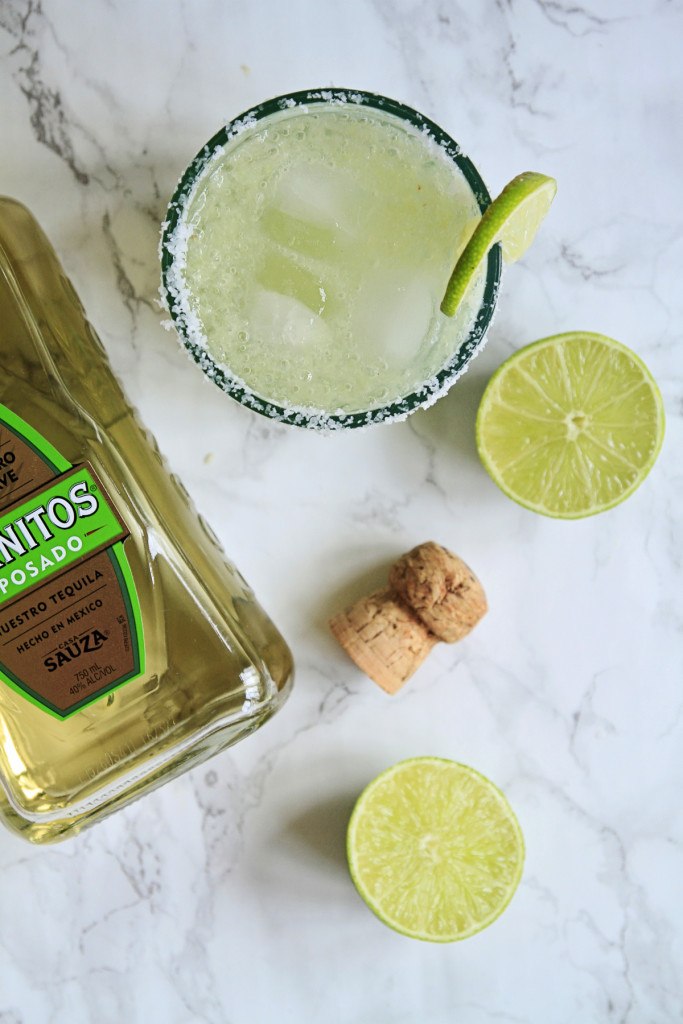 Champagne Margarita Recipe
