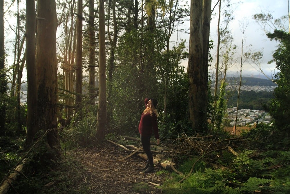 Whimsy Soul Sutro Forest