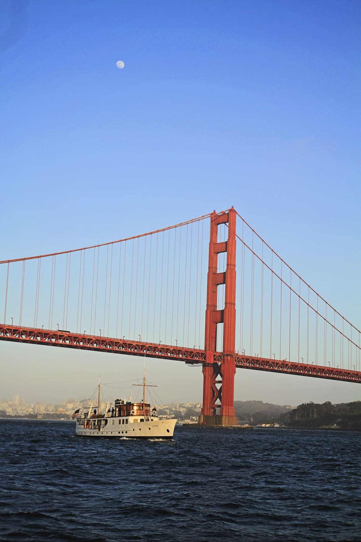 Everywhere you look  Golden gate bridge, Golden gate, Fuller house