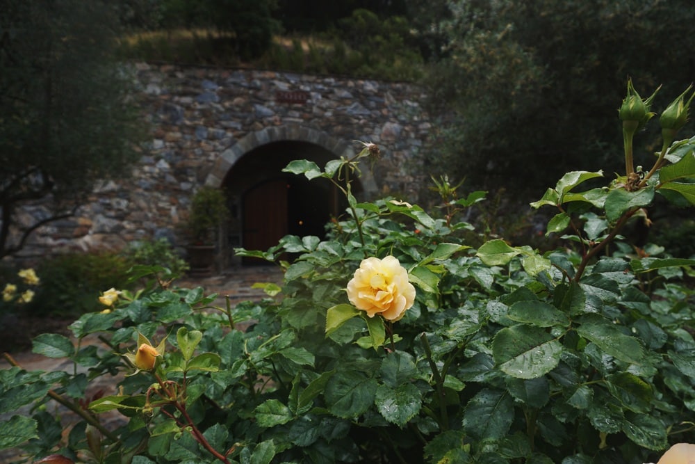 Thomas George Winery in the cave