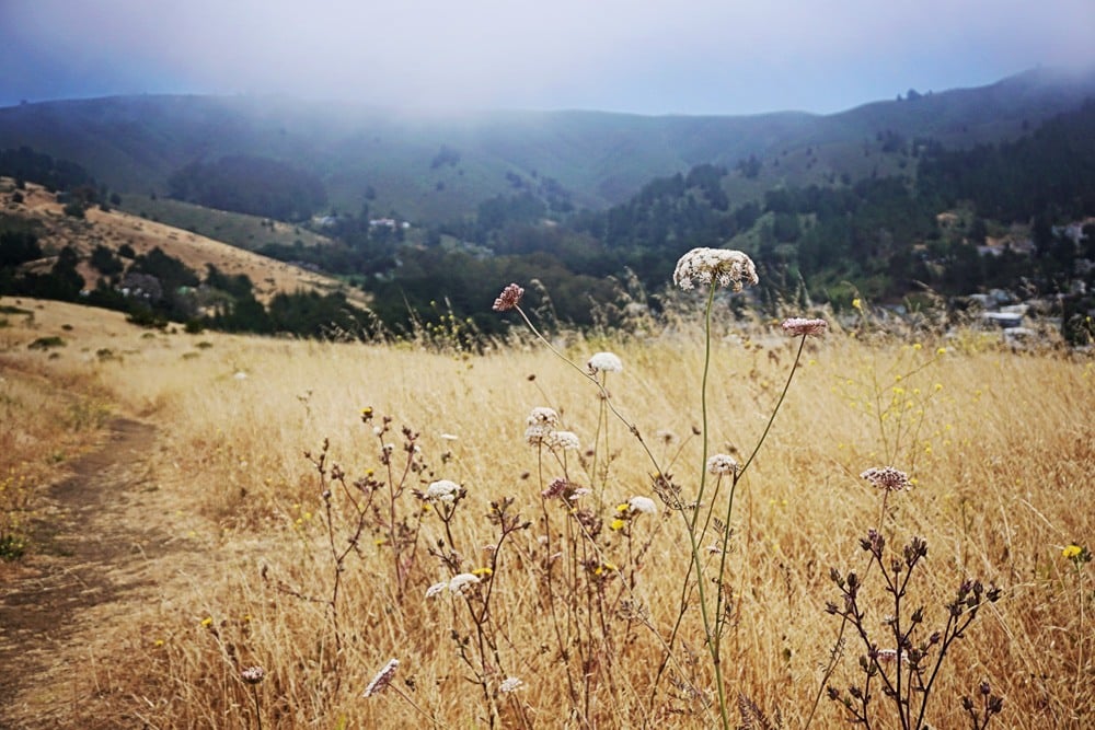 Mori Point, Pacifica, California