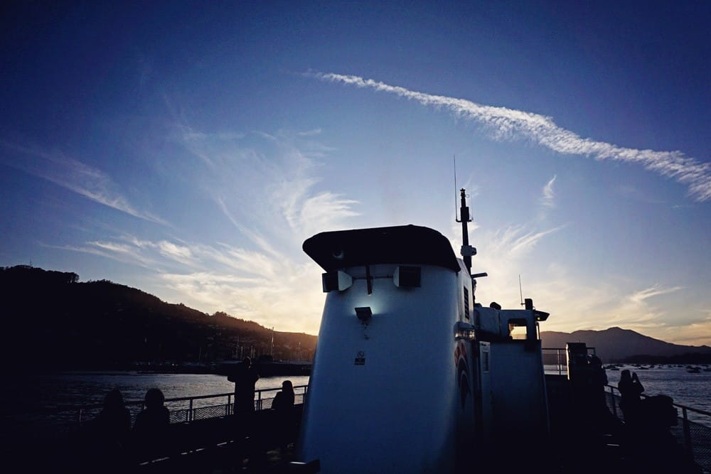 sailing at sunset san francisco