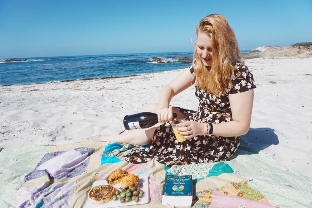 Picnic on 17 Mile Drive Beach