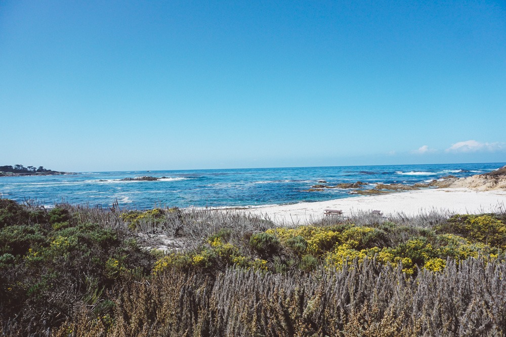 17 Mile Drive Beach