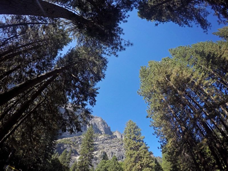 Travel Guide: 48 Hours in Yosemite - Whimsy Soul