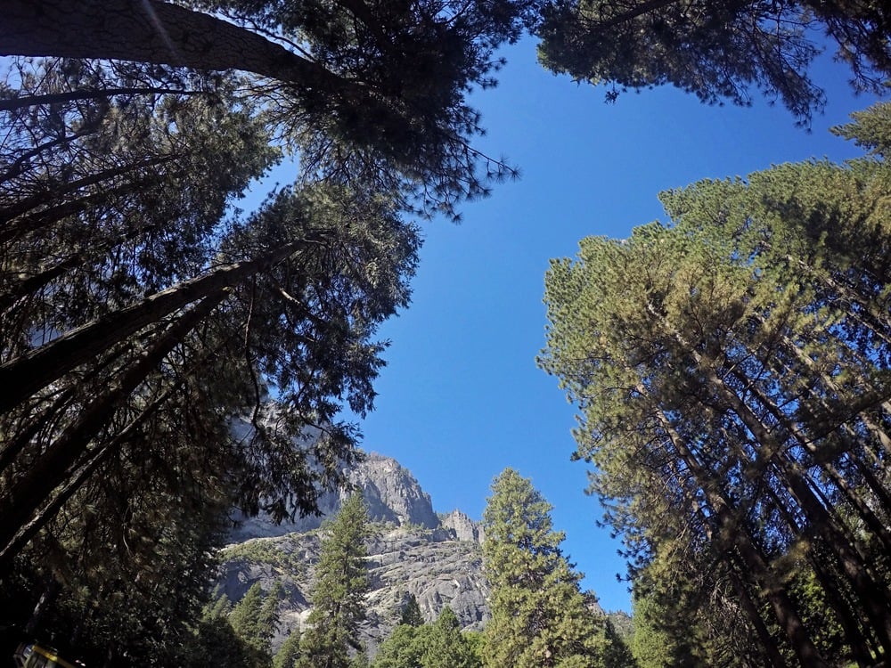 GoPro in Yosemite