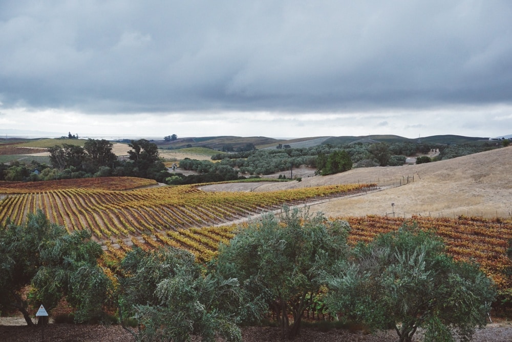 Sonoma & Napa Valley in the Rain