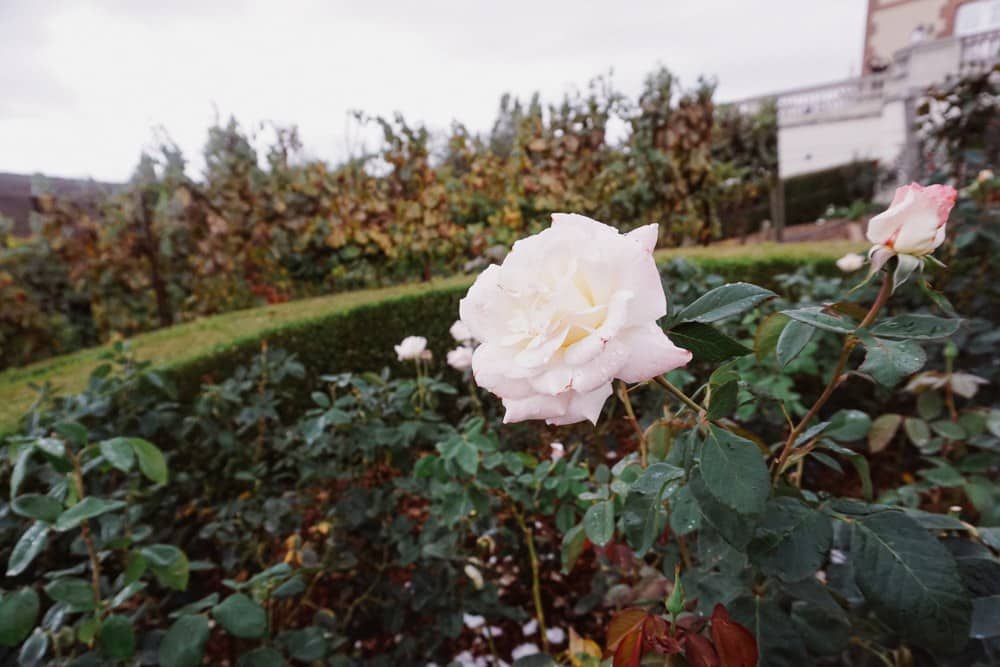 Domaine Carneros Winery