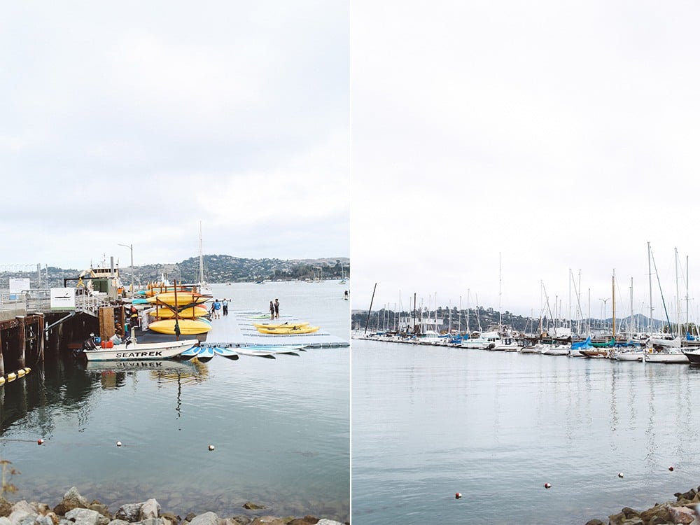 Sausalito padding boarding