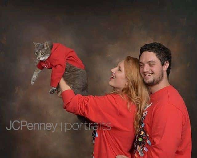 Cat in Christmas Card in sweater