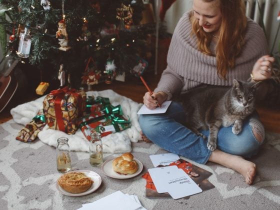 Chrismukkah holiday card with cat in sweater