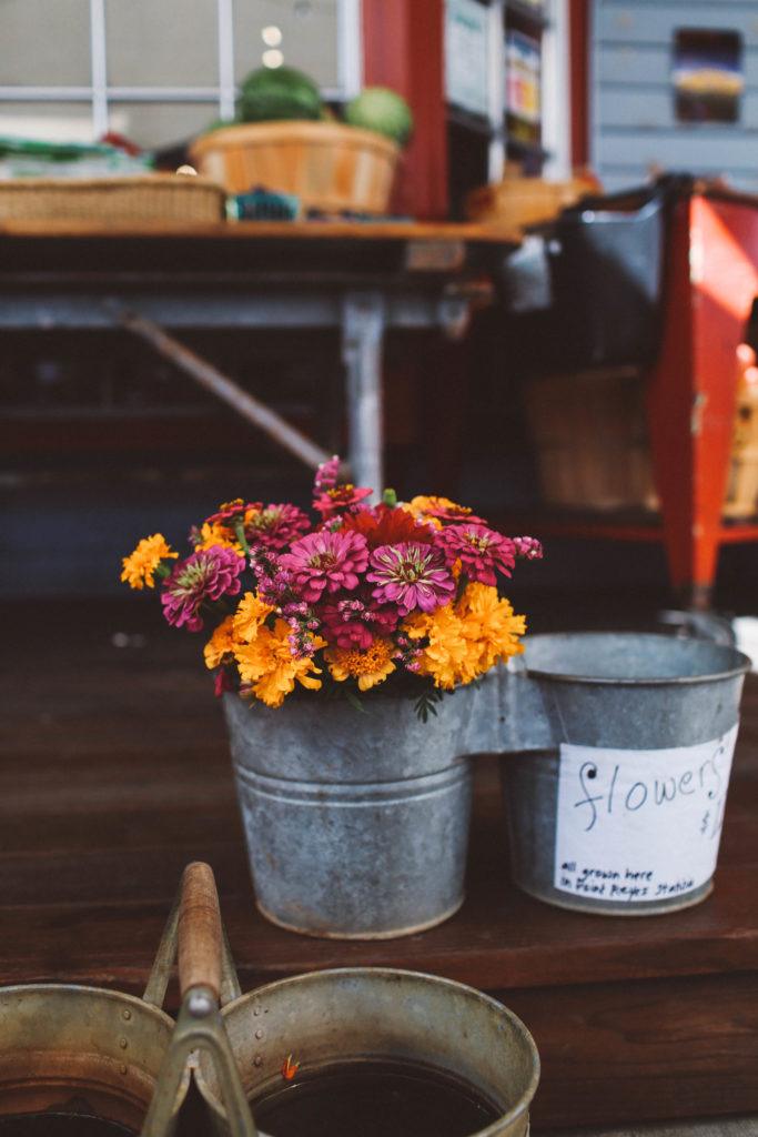 flowers bucket