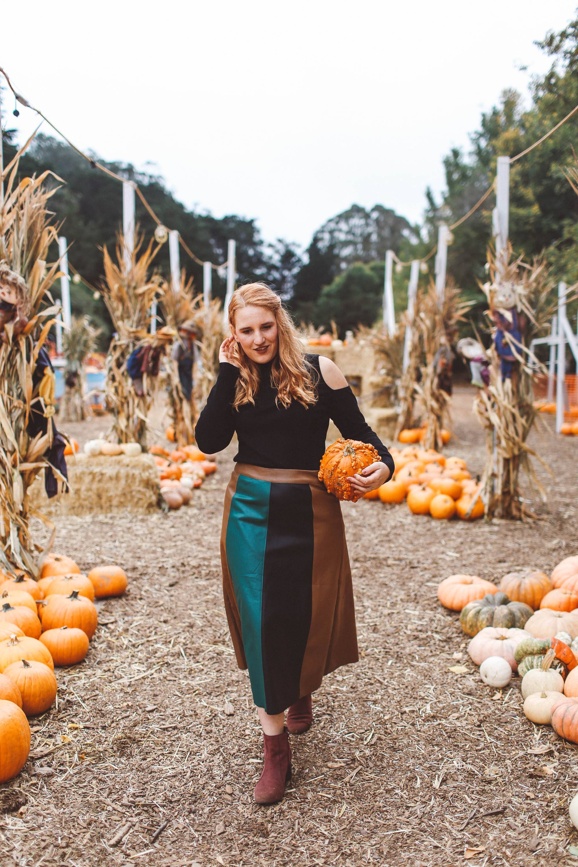 san francisco pumpkin patch