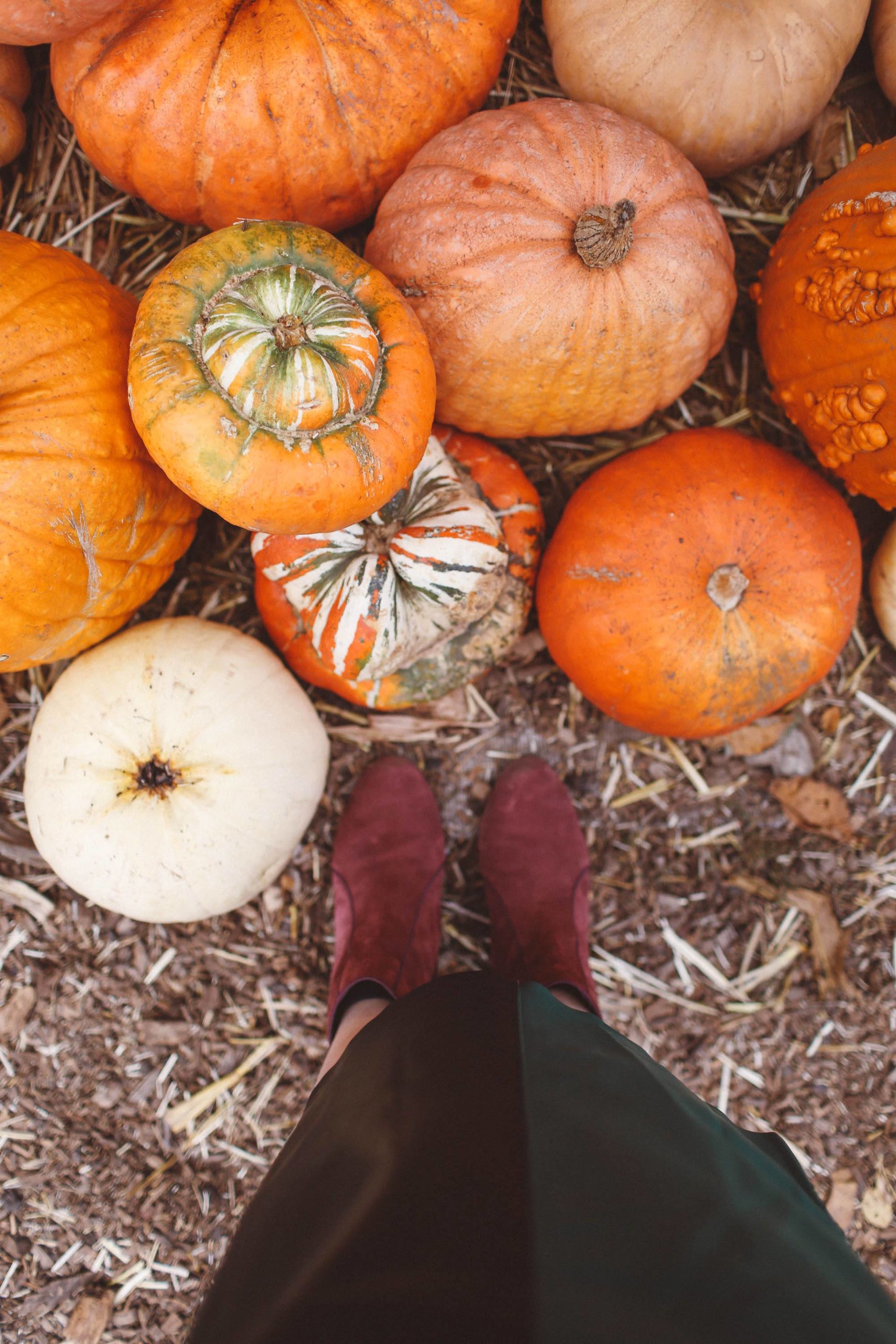 OH, MY GOURD: 15 Cutest Pumpkin Patch Outfit Ideas For Fall