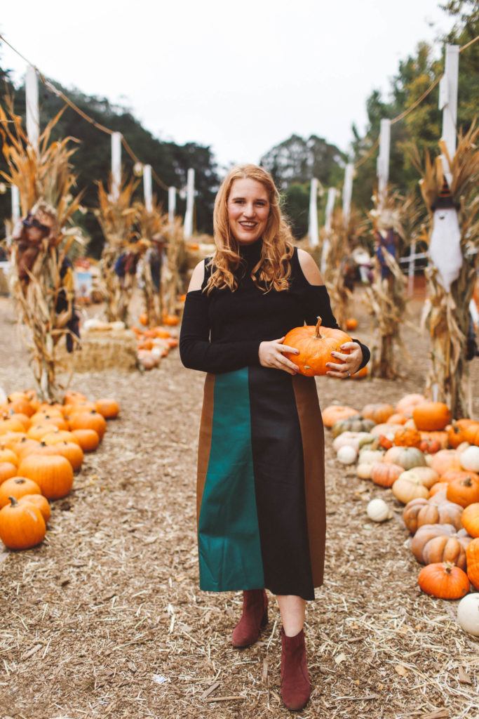 san francisco pumpkin patch