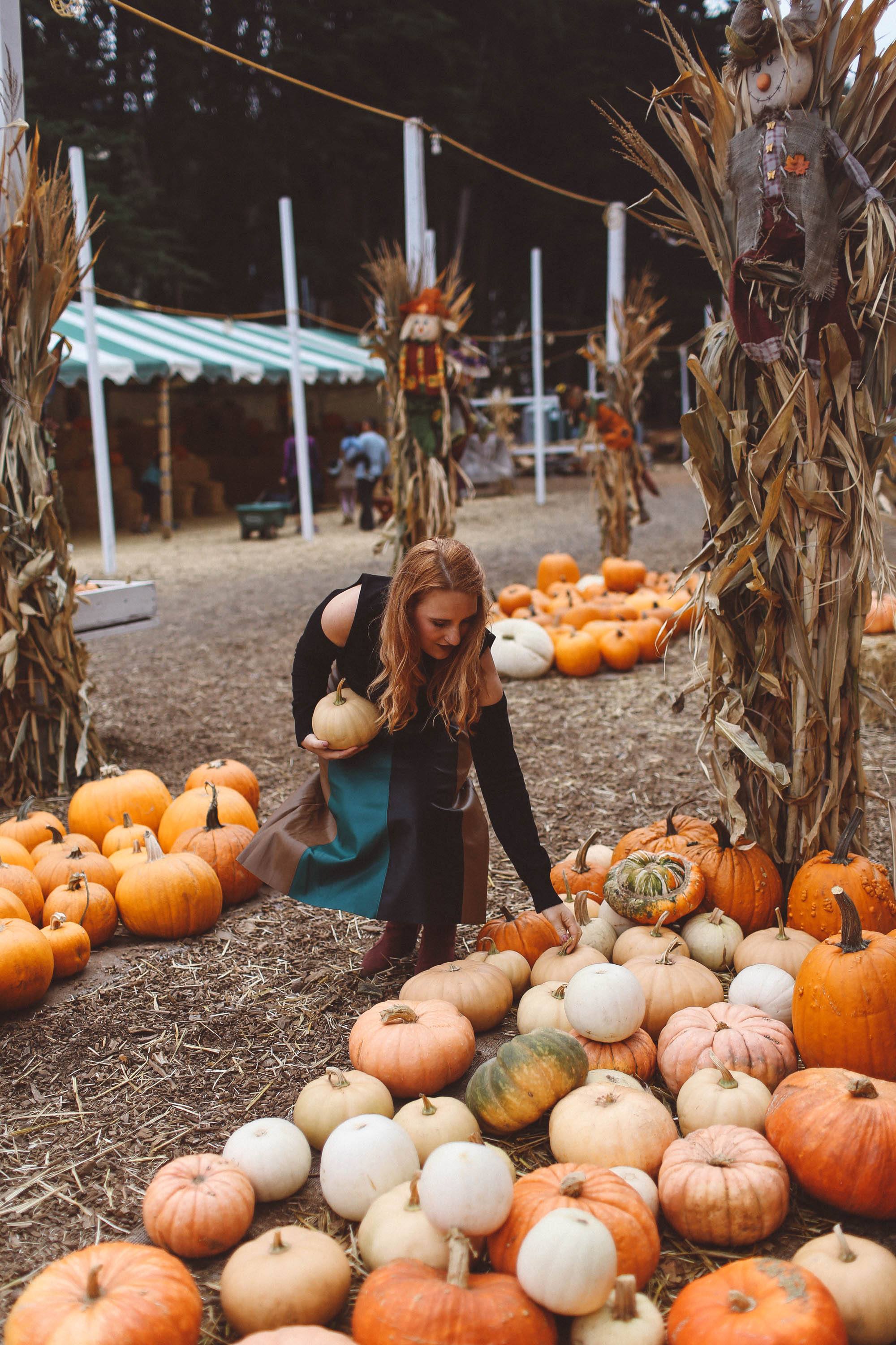 Who What Wear Pleated Skirt At The Pumpkin Patch