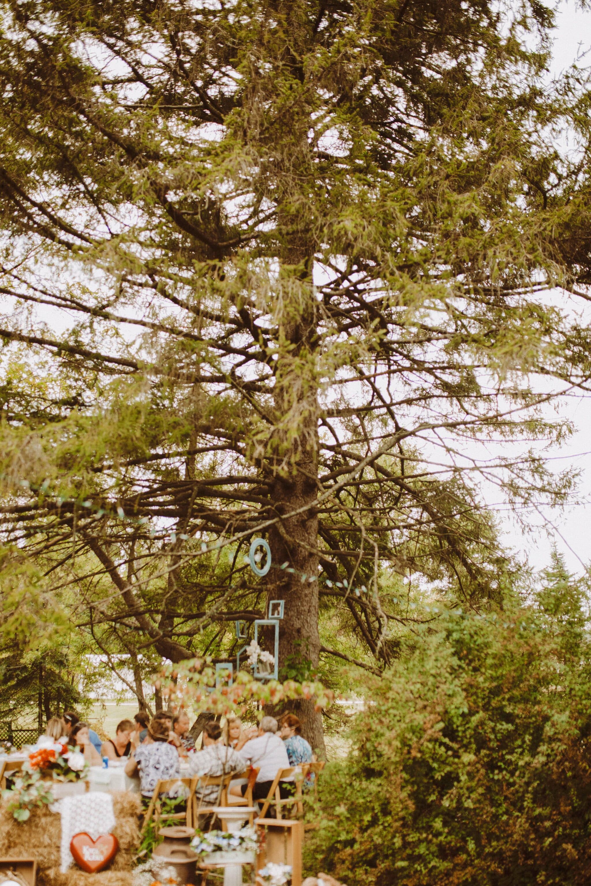 wedding outdoor boho woods trees