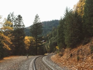 train tracks fall leaves