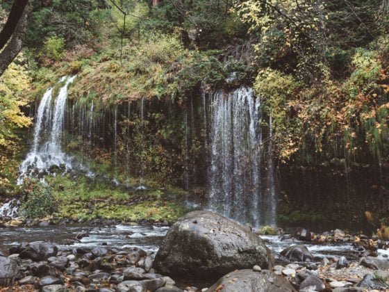 Mossbrae Falls Redding Waterfall