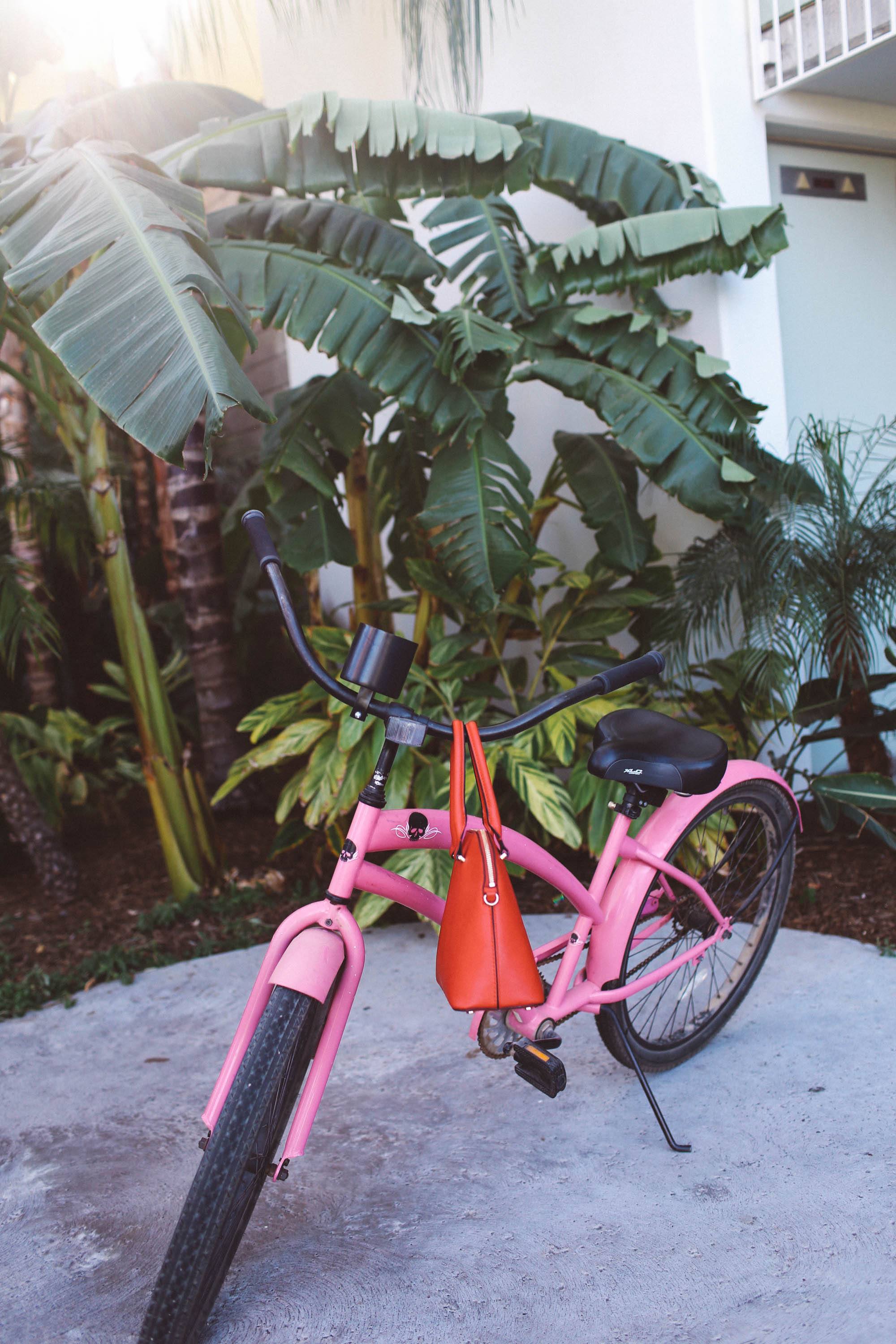 purple ruffle top pink bike palm trees