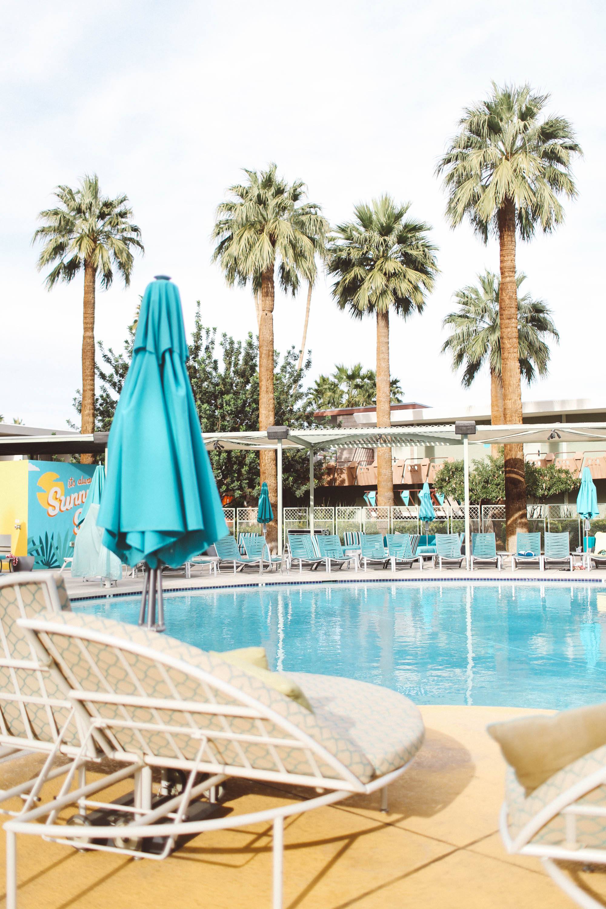 scottsdale hotel pool palm trees
