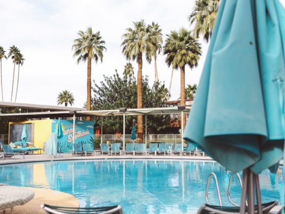 scottsdale hotel pool palm trees