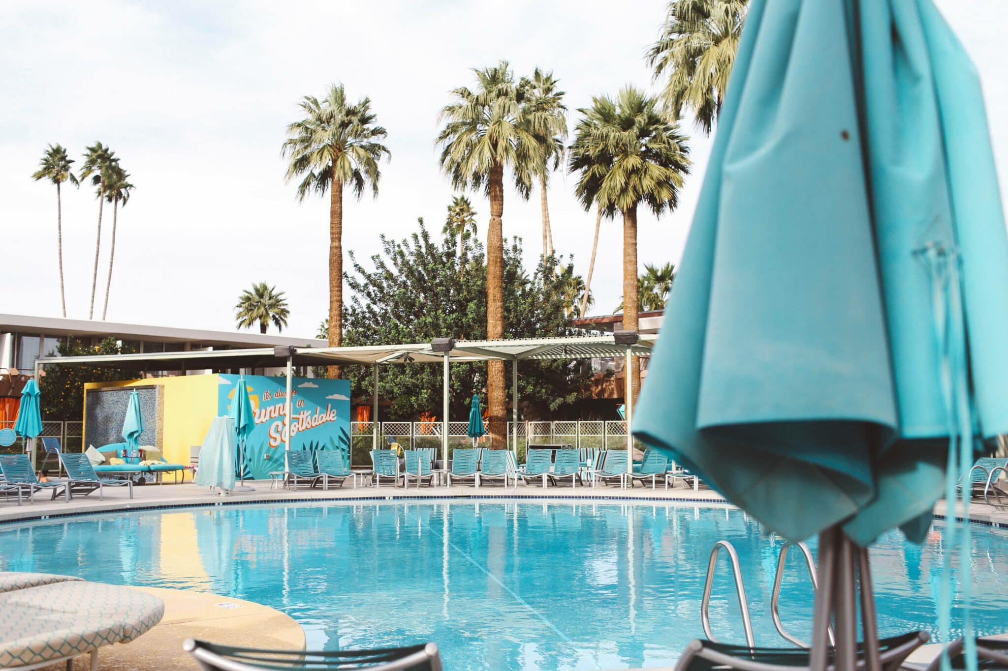 scottsdale hotel pool palm trees