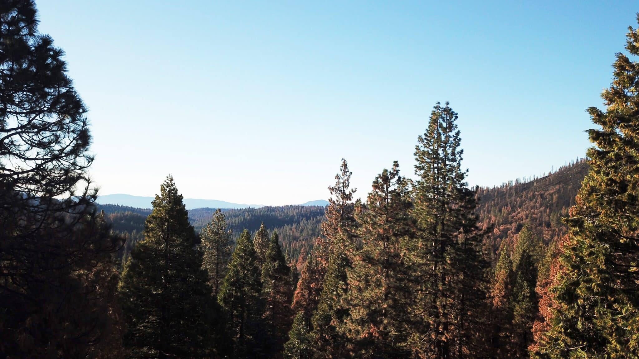 Yosemite drone