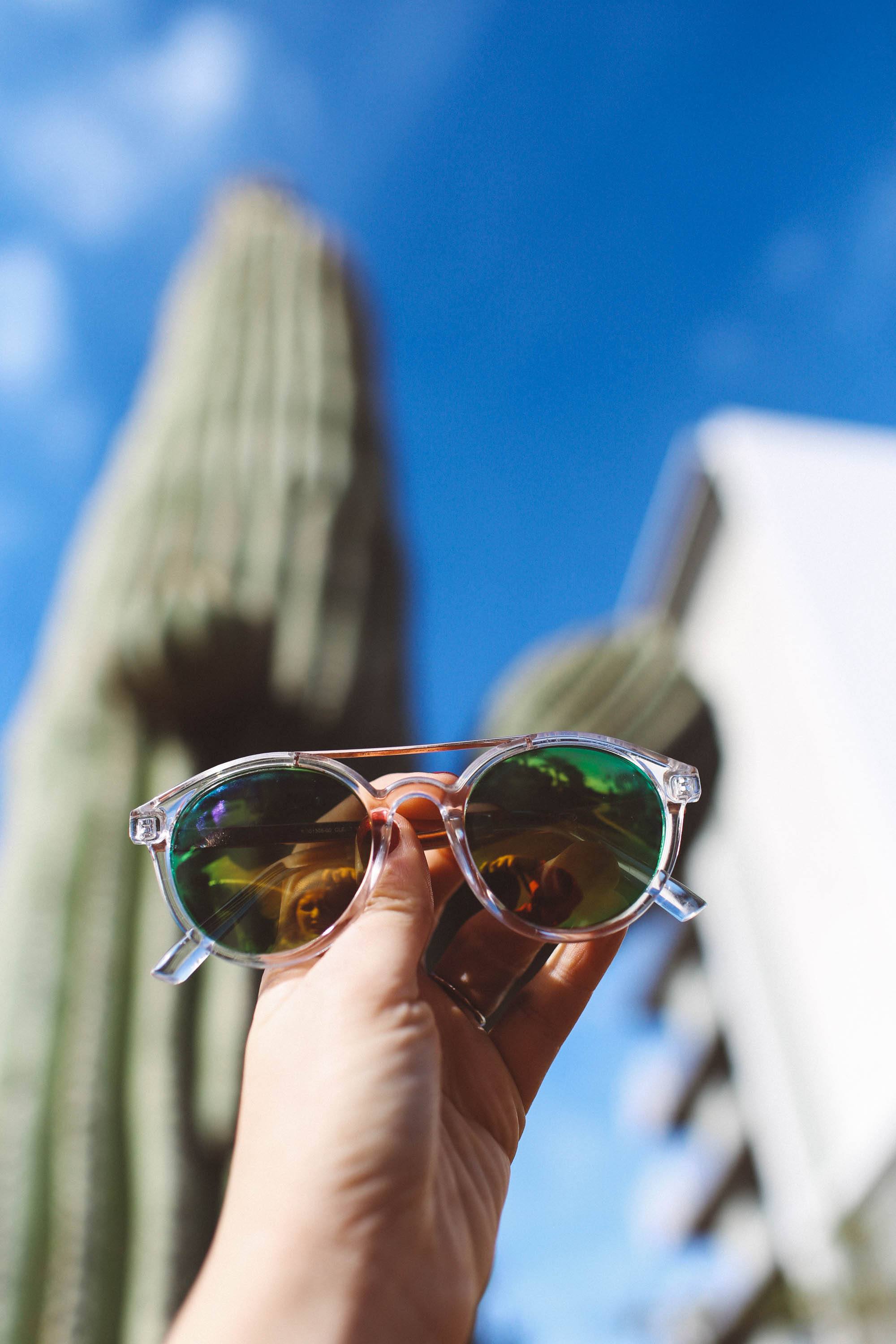 sunglasses cactus