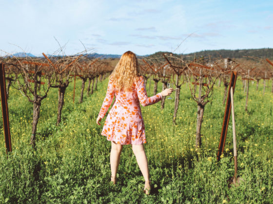 frog's leap winery napa red rose dress