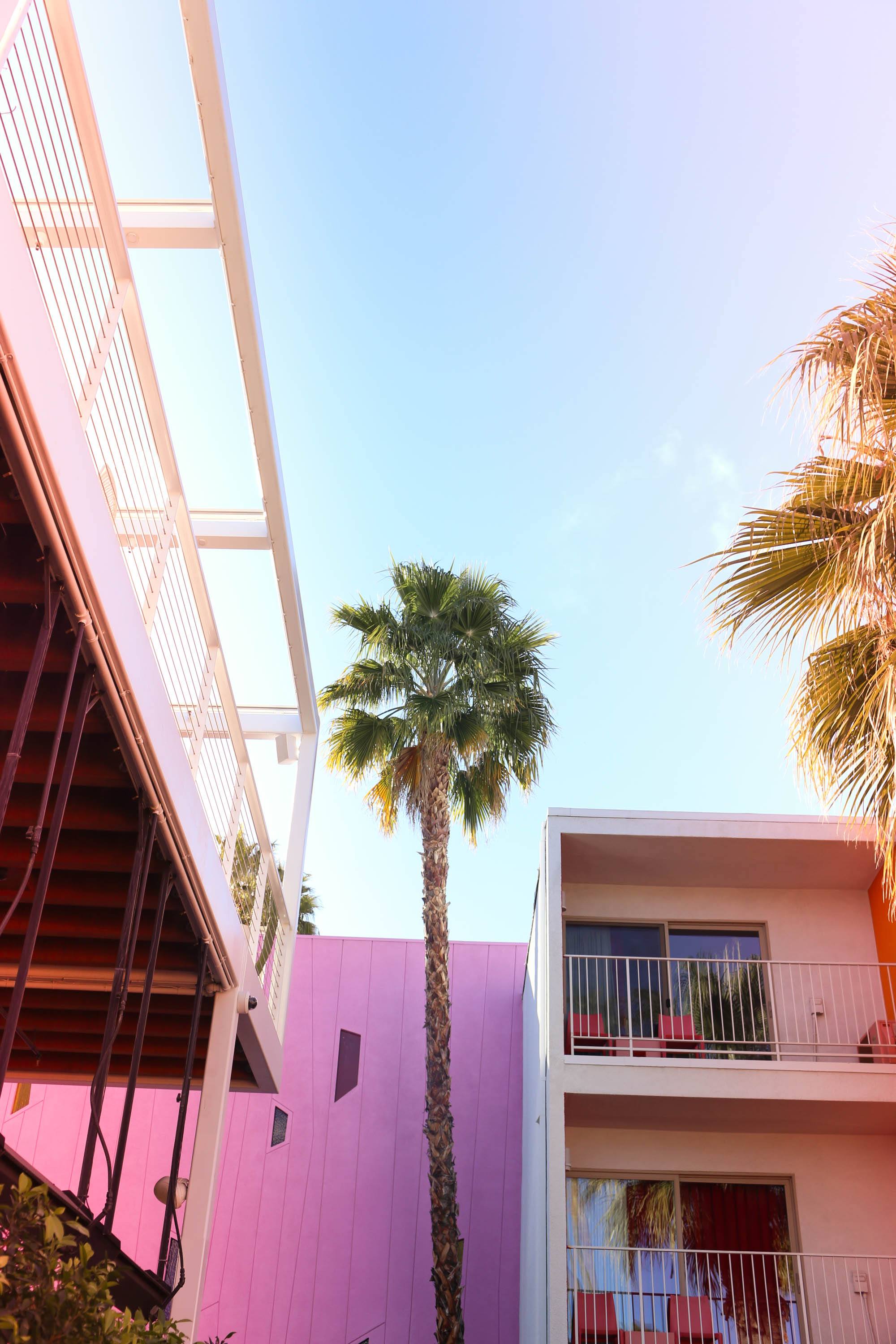 saguaro palm springs hotel rainbow