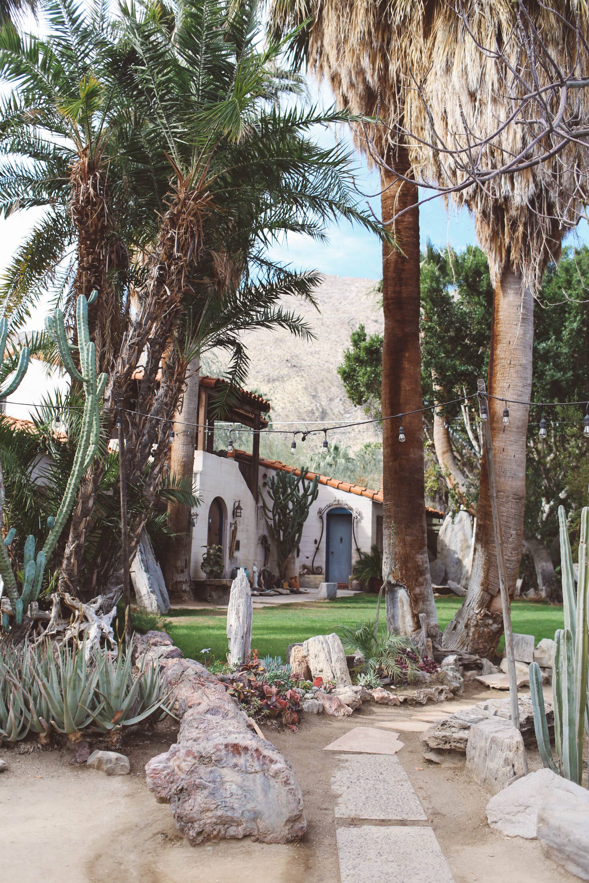  palm springs cactus garden