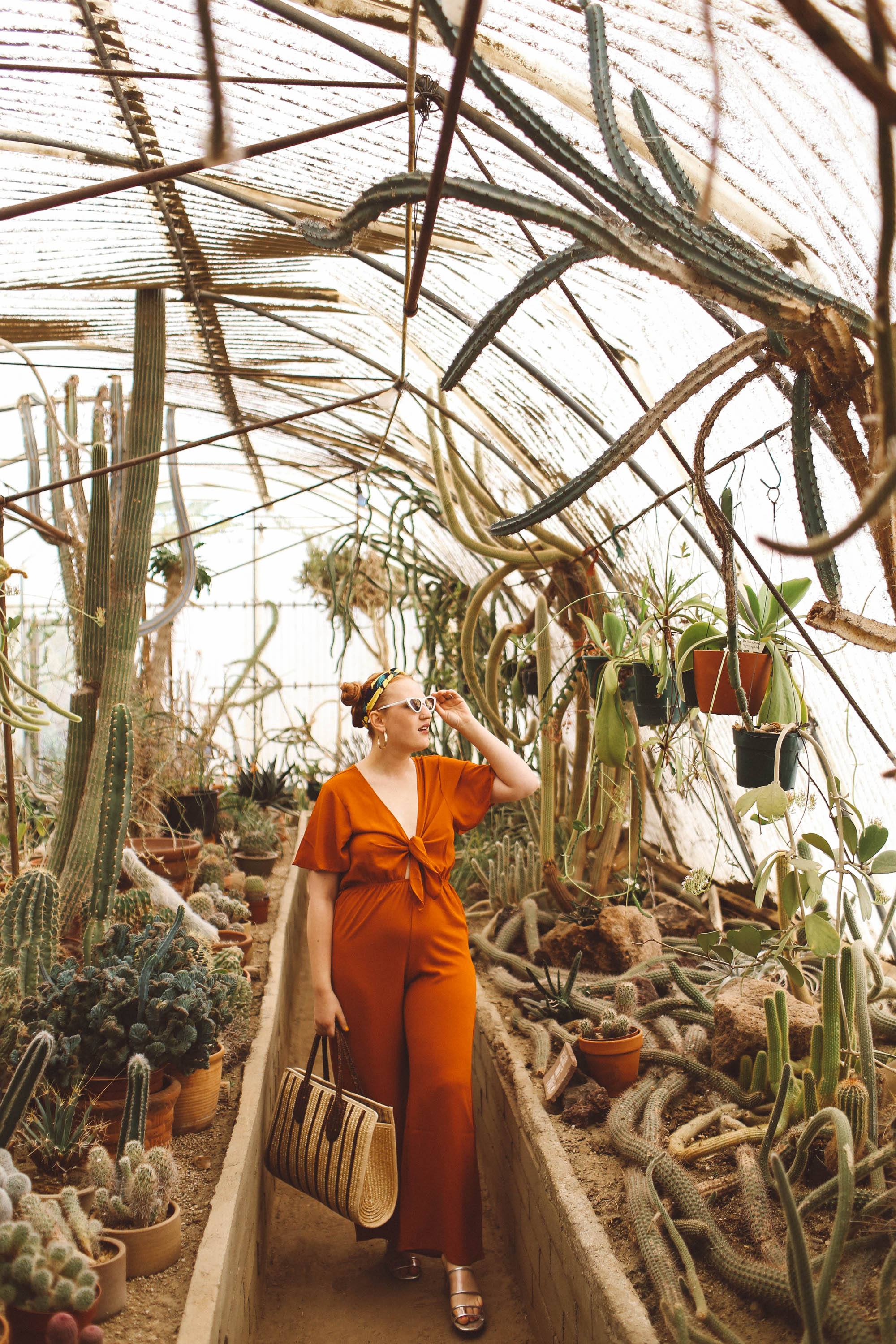 palm springs cactus garden fashion