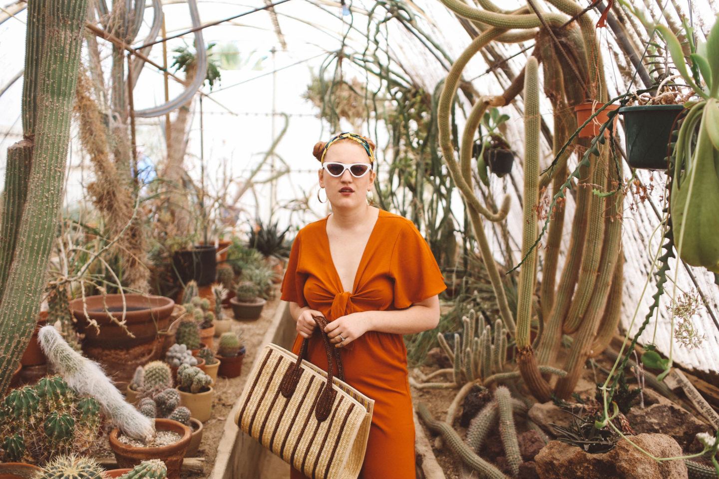 The Best Palm Springs Cactus Garden