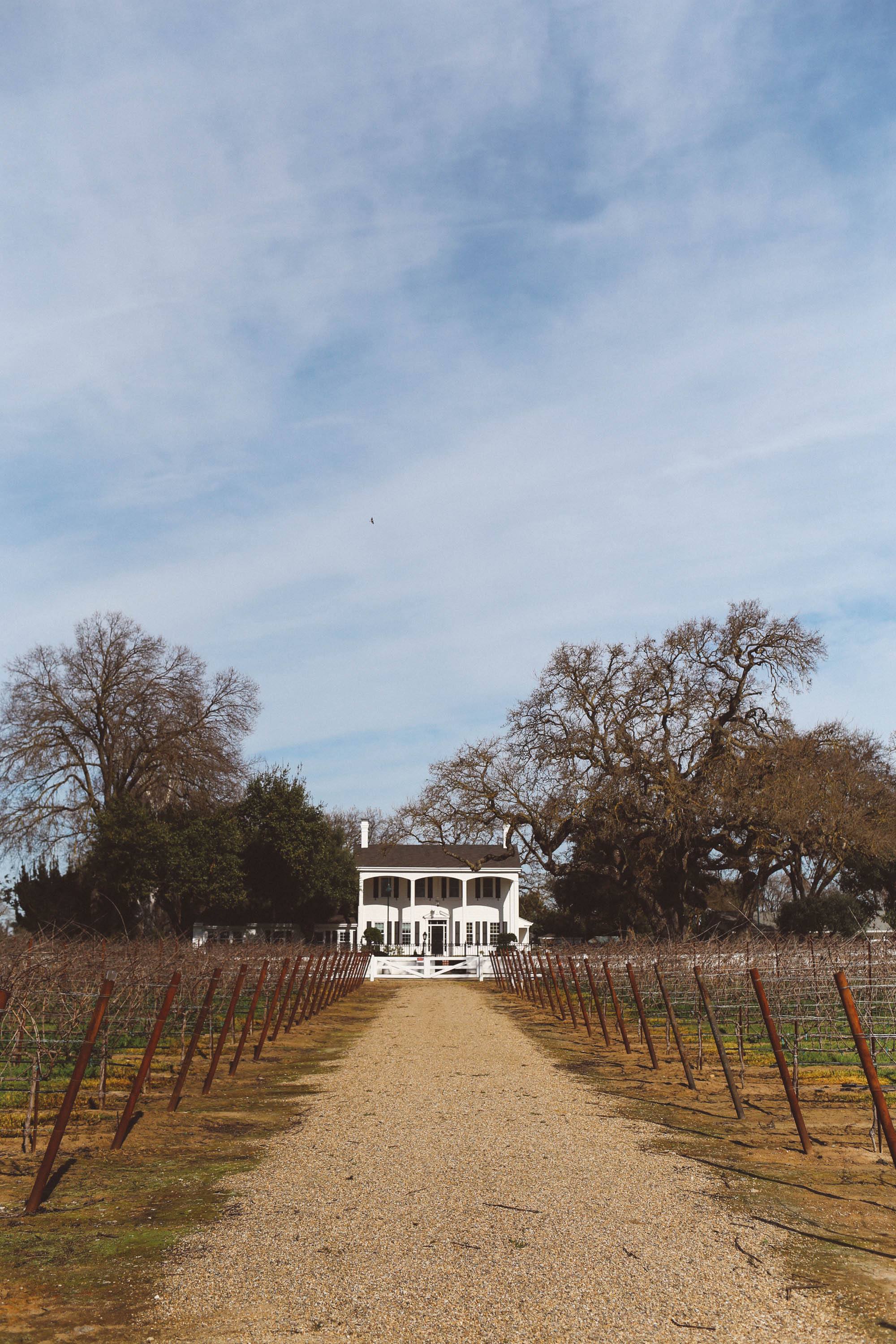 oak farm vineyard lodi