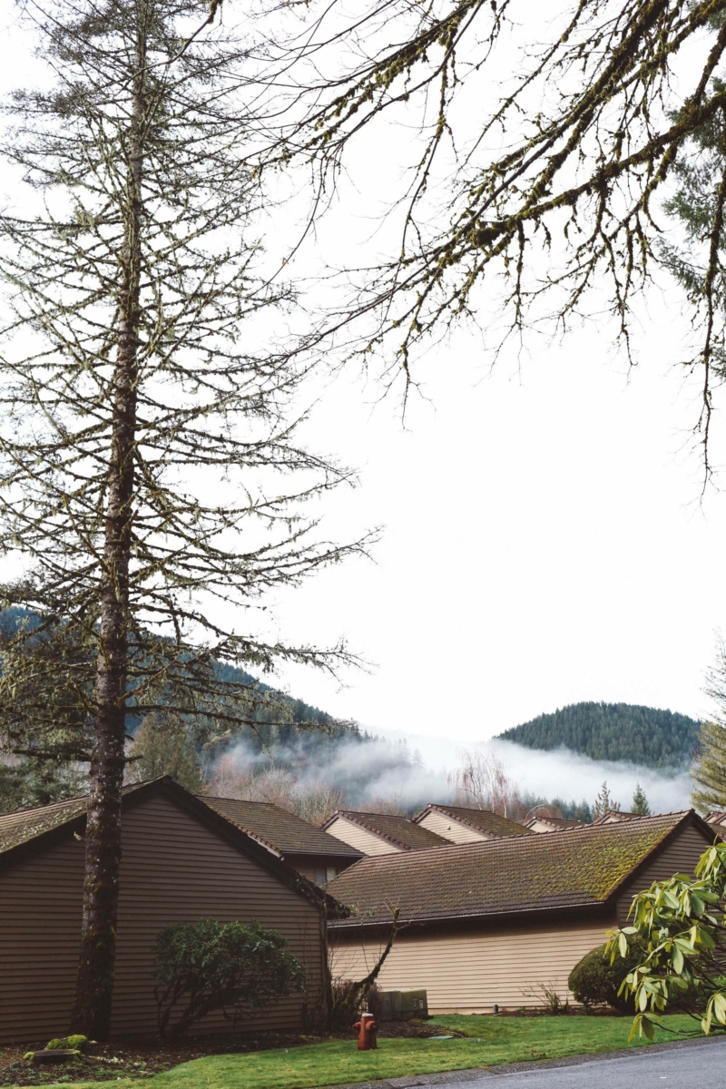 Oregon Travel Guide From Mt. Hood To The Coast