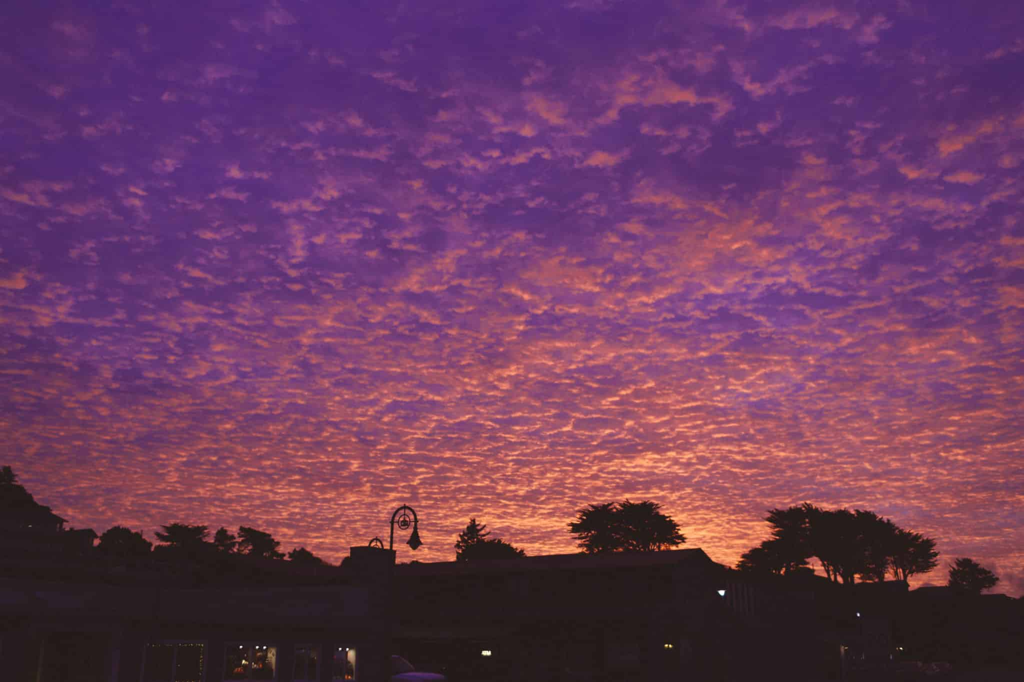 oregon pink sunset