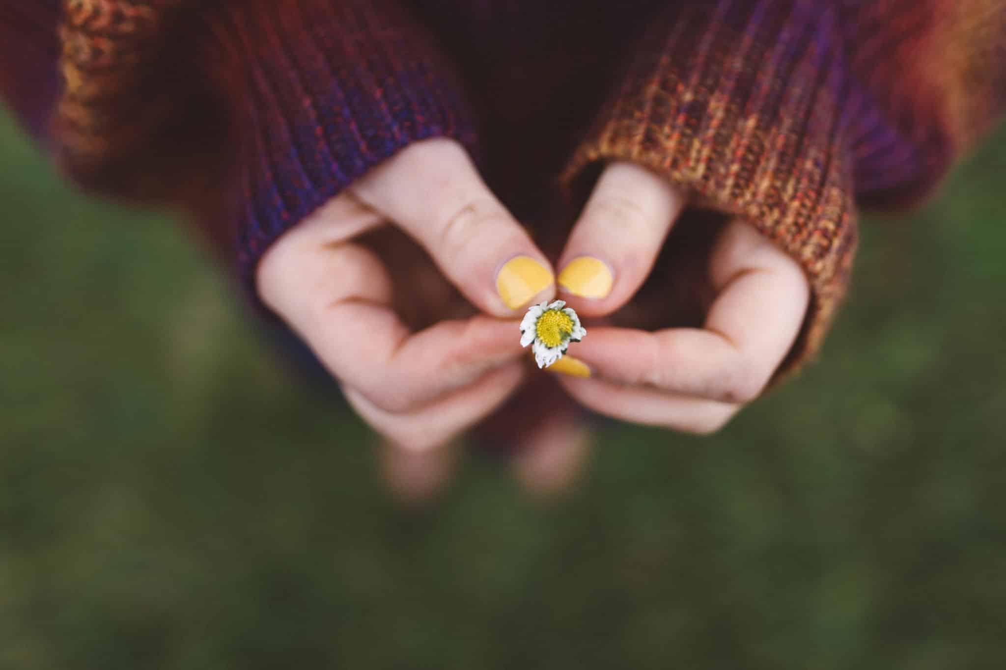 yellow flower holding