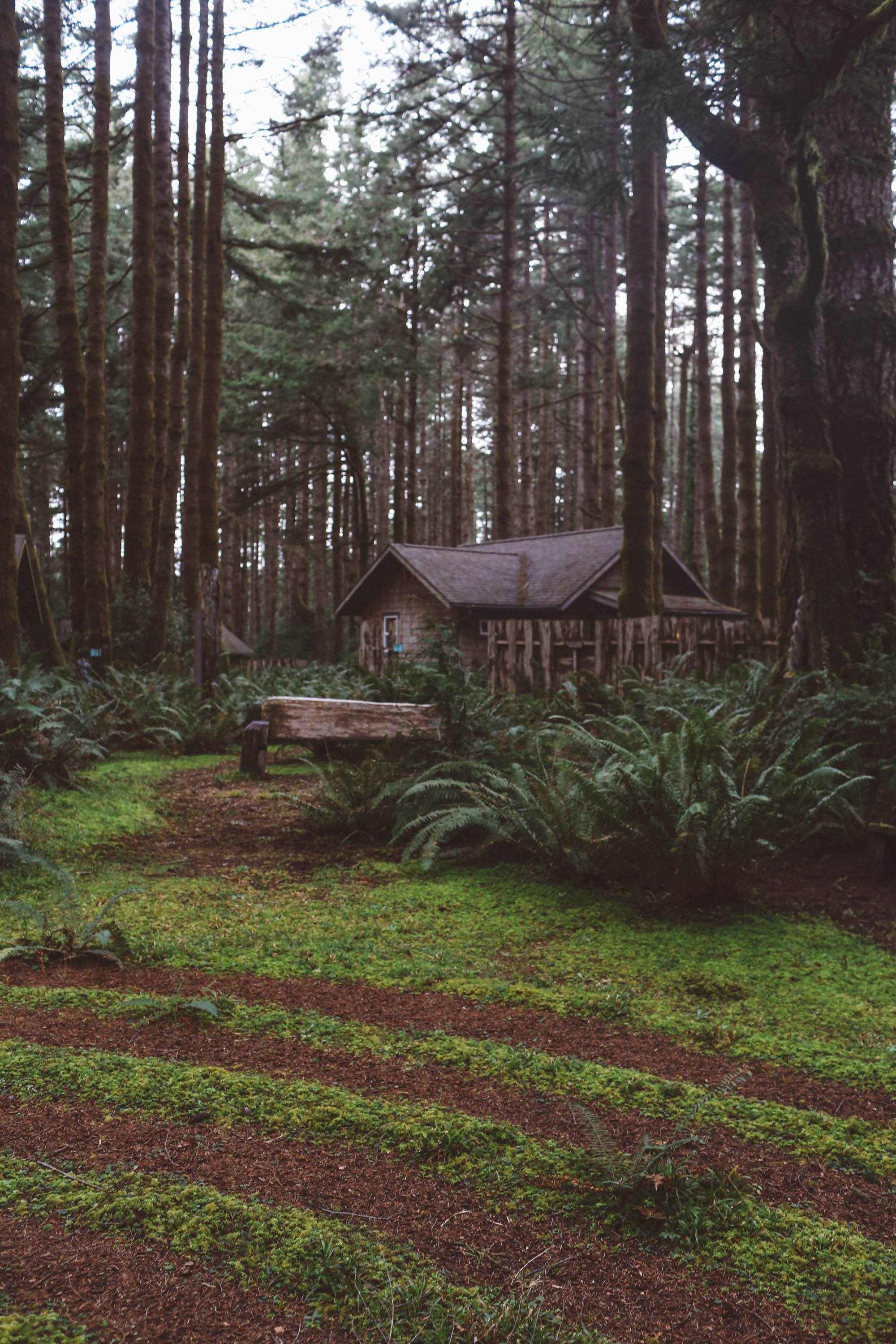 oregon fairy circle