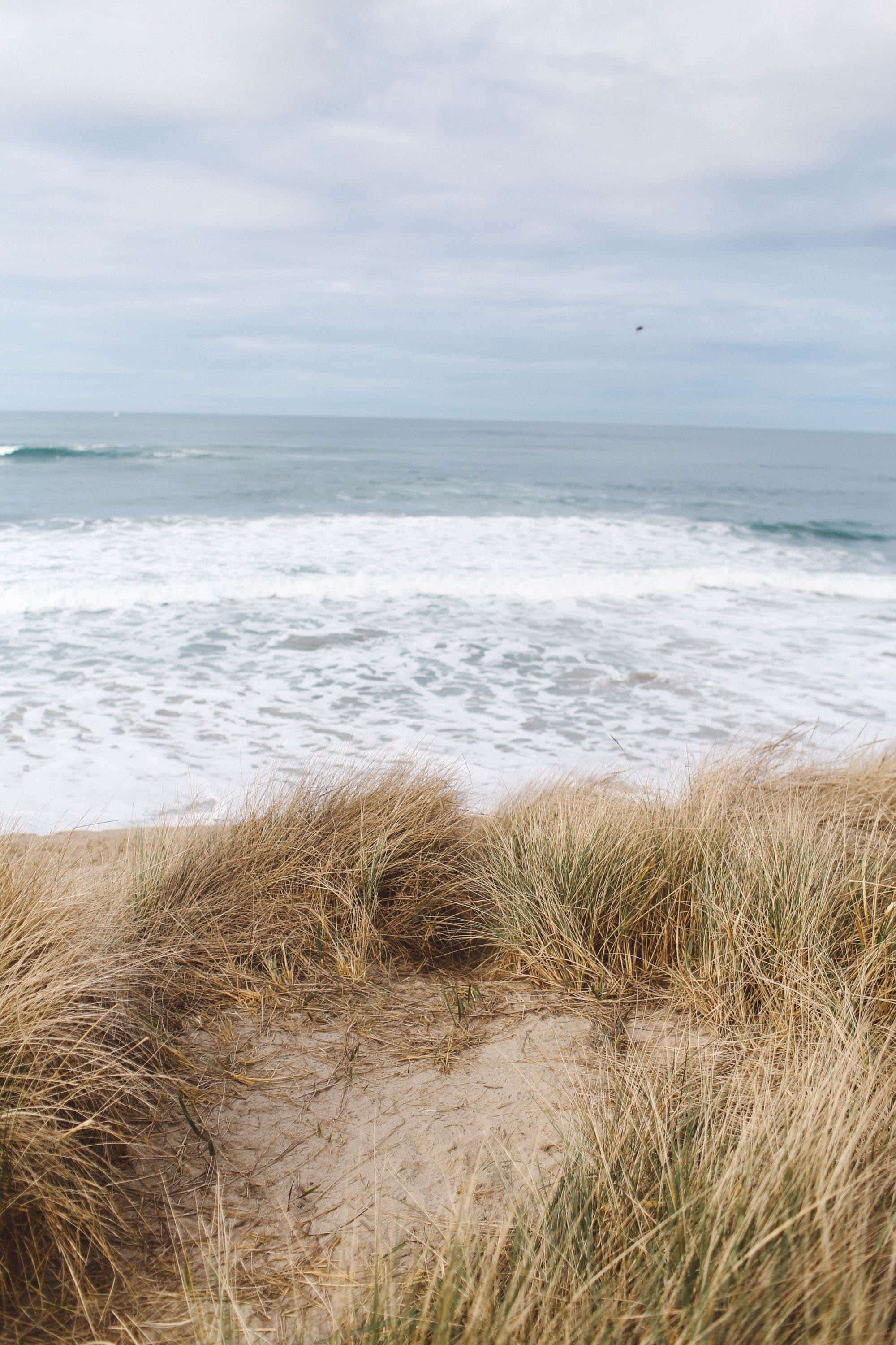 oregon dunes