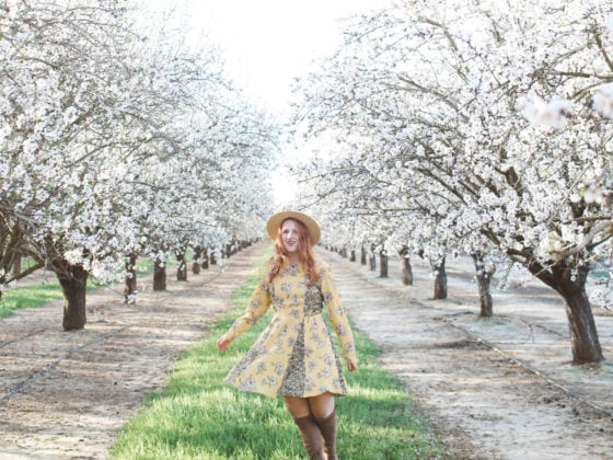 flowers almond blossoms california yellow dress