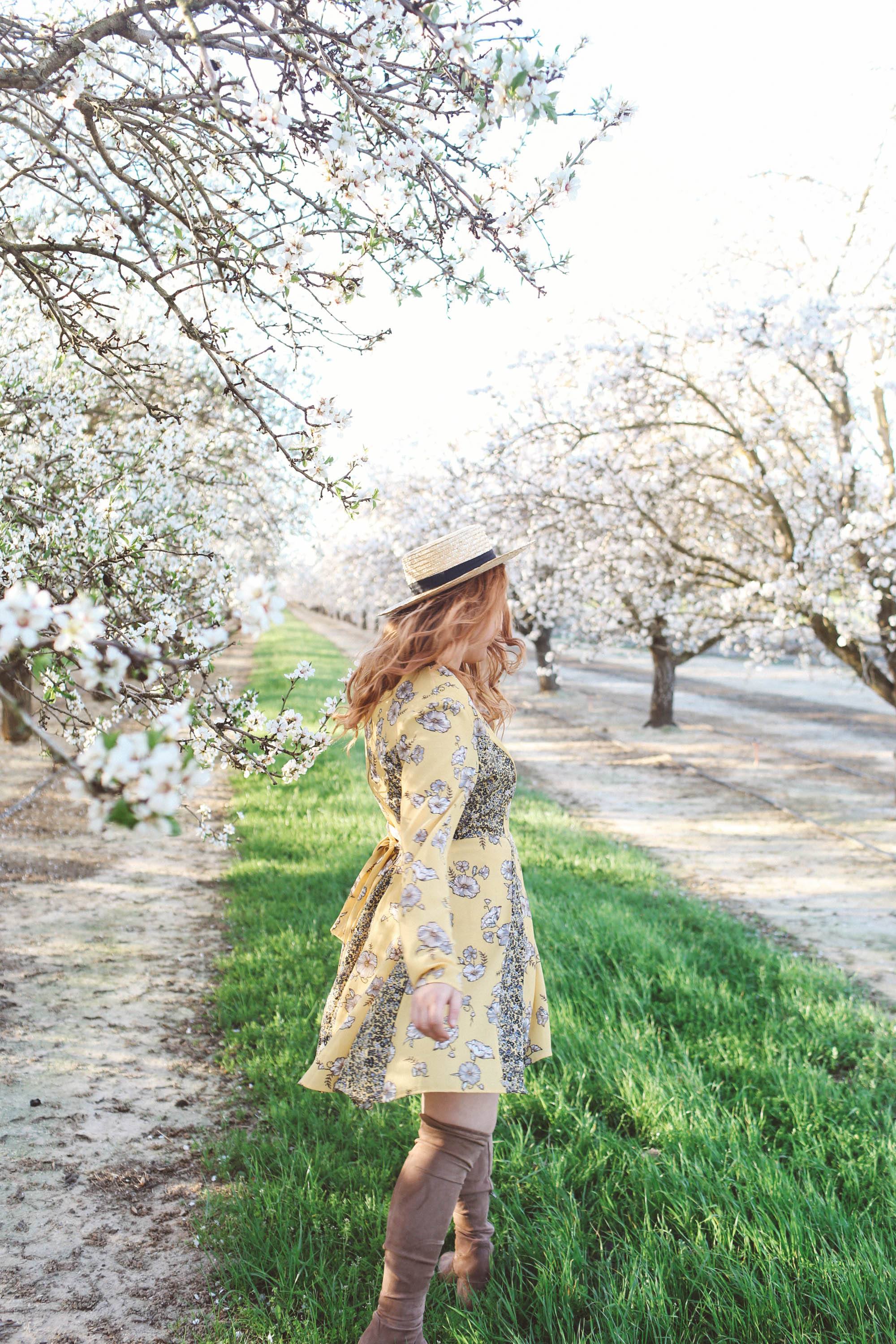 flowers almond blossoms california yellow dress