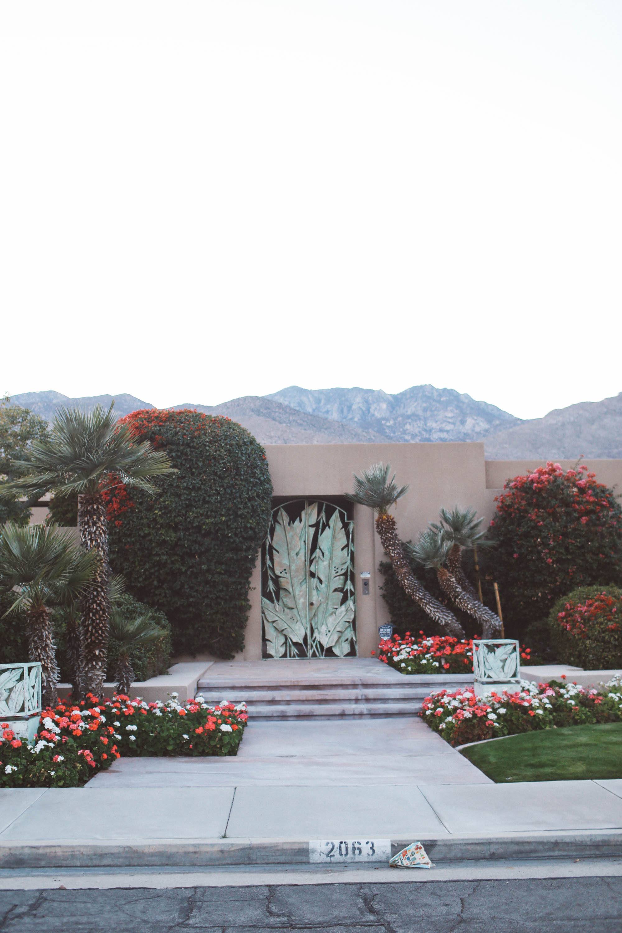 tour companies palm springs