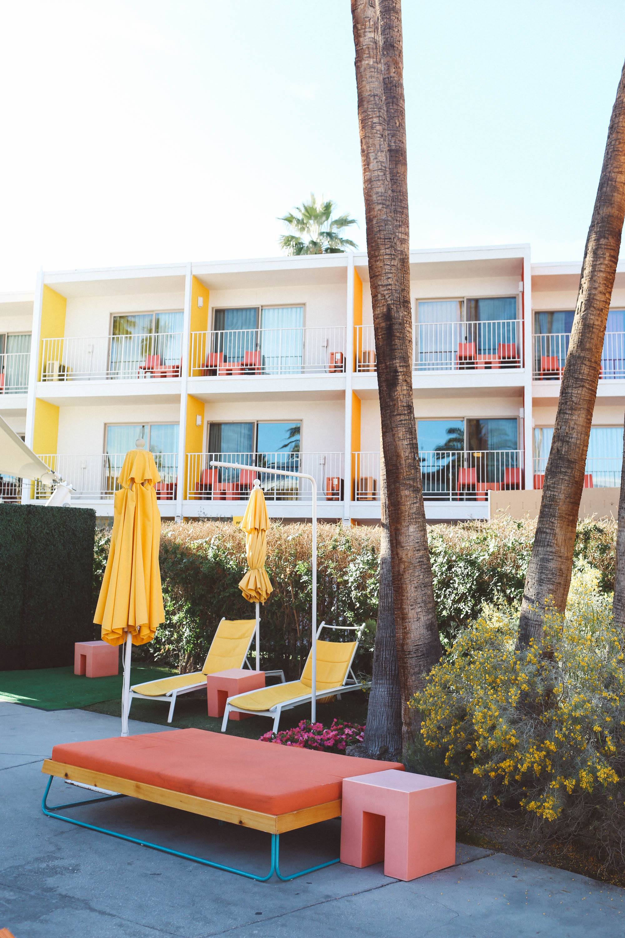 palm springs hotel pool saguaro