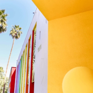 Palm trees and colorful wall in palm springs