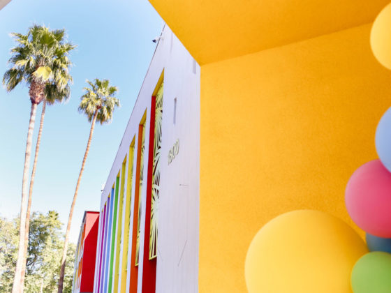 Palm trees and colorful wall in palm springs